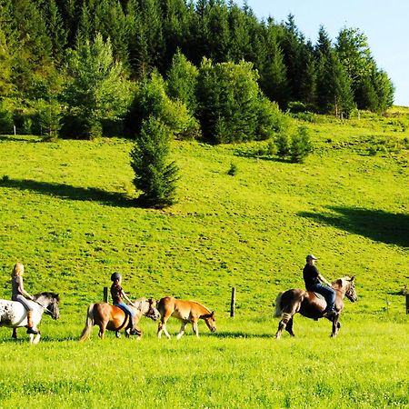 Steinbachgut Villa Flachau Ngoại thất bức ảnh