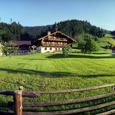 Steinbachgut Villa Flachau Ngoại thất bức ảnh
