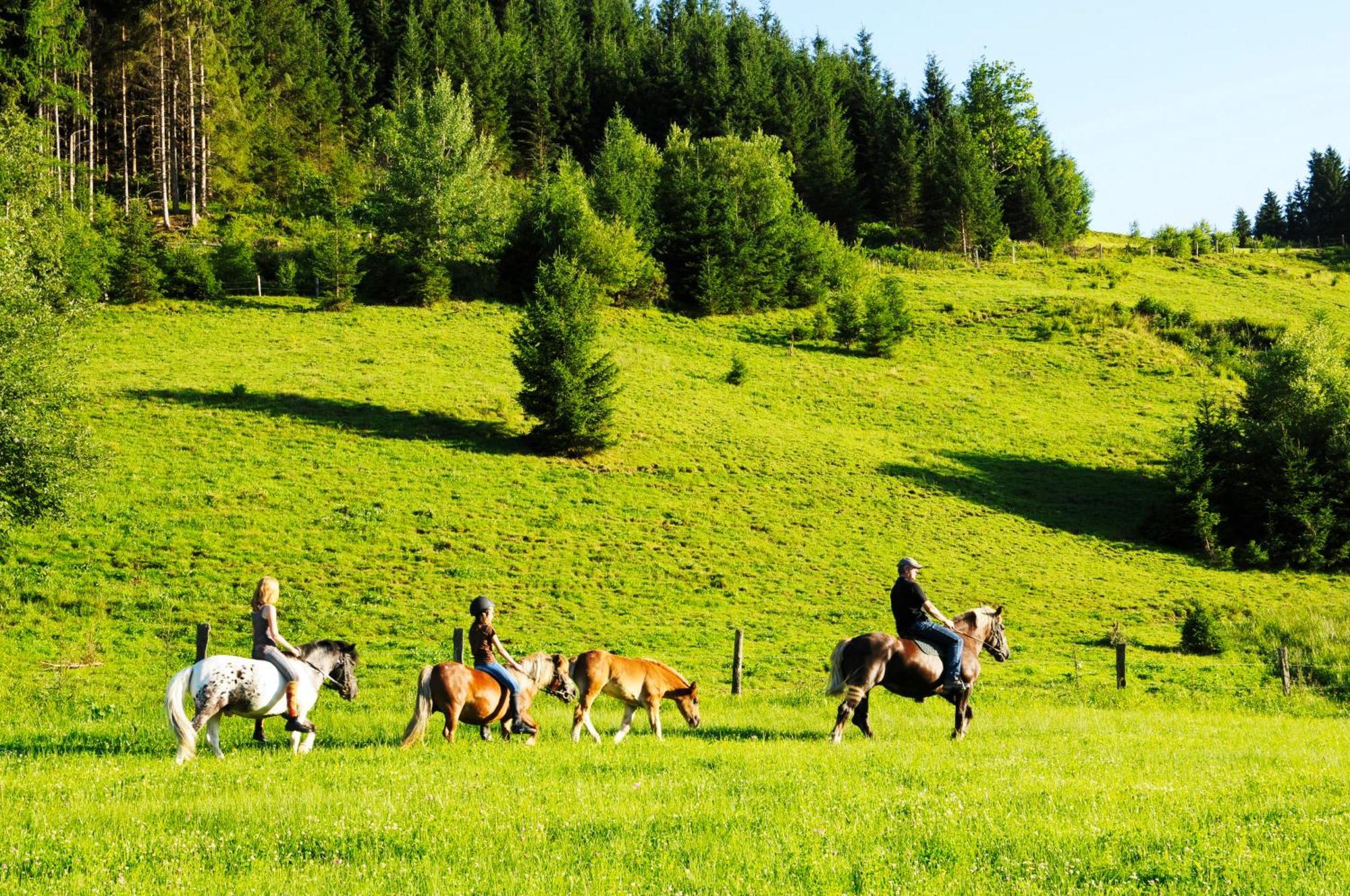 Steinbachgut Villa Flachau Ngoại thất bức ảnh