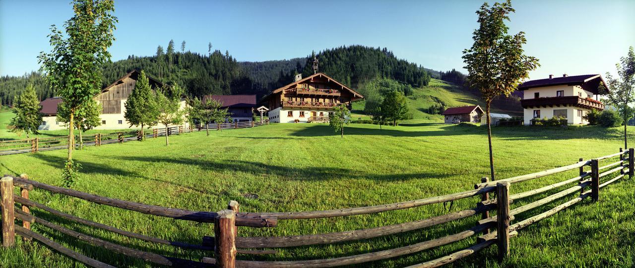 Steinbachgut Villa Flachau Ngoại thất bức ảnh