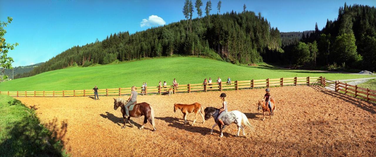 Steinbachgut Villa Flachau Ngoại thất bức ảnh